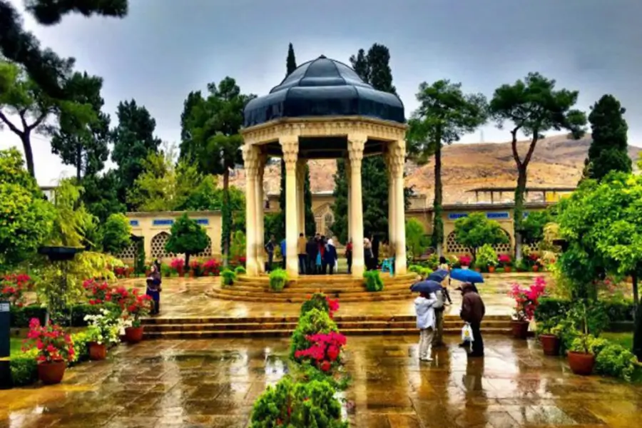 جراحی بینی در شیراز عمل زیبایی و ترمیمی بینی در شیراز