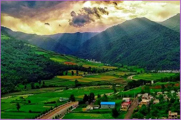 عمل بینی در ساری