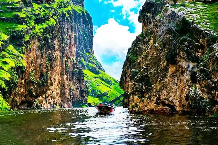 عمل بینی در ایلام