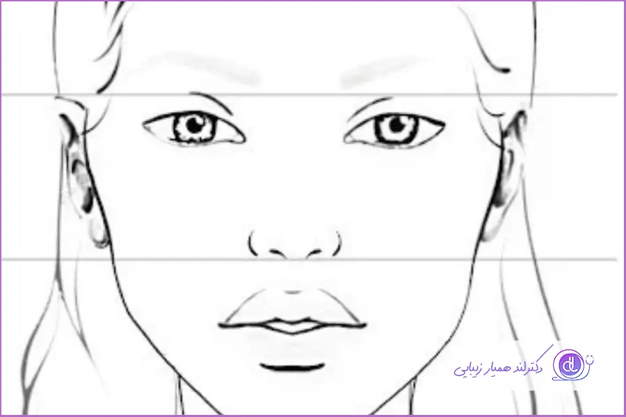 انتخاب زیباترین فرم بینی با قانون یک سوم