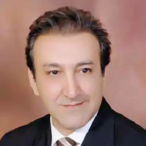 دکتر مهدی احمدی