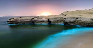 عمل بینی در بندرعباس
