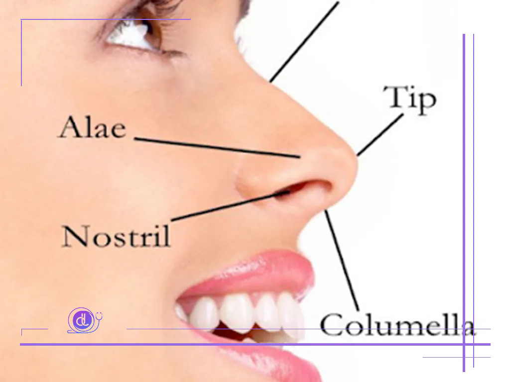 هزینه عمل بینی استخوانی در شیراز-1